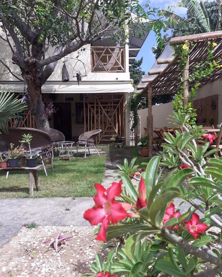 מלון בארה גראנדה Casa Eolica מראה חיצוני תמונה