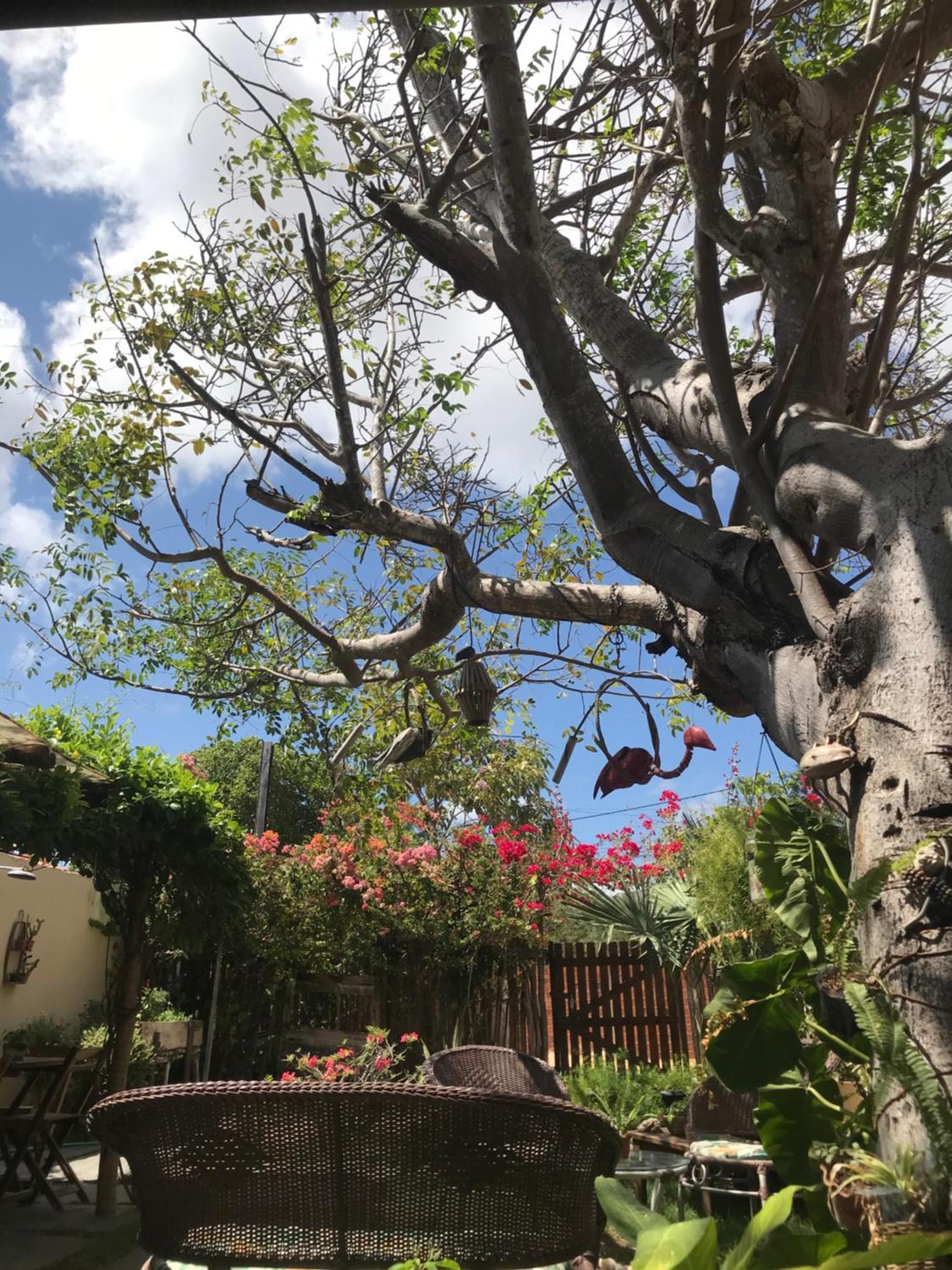 מלון בארה גראנדה Casa Eolica מראה חיצוני תמונה