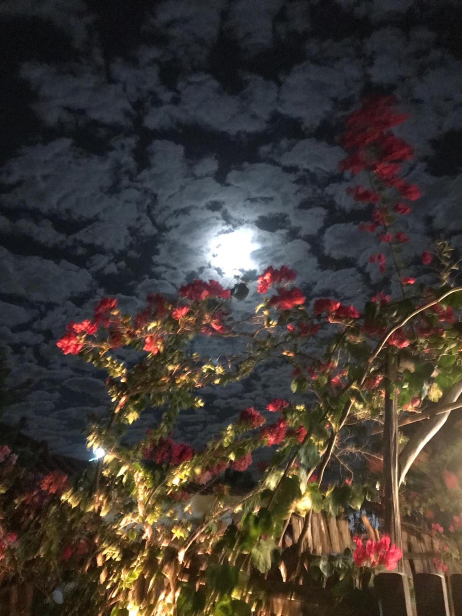 מלון בארה גראנדה Casa Eolica מראה חיצוני תמונה